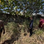 14 Tage vermisst – Alzheimer-Patientin tot