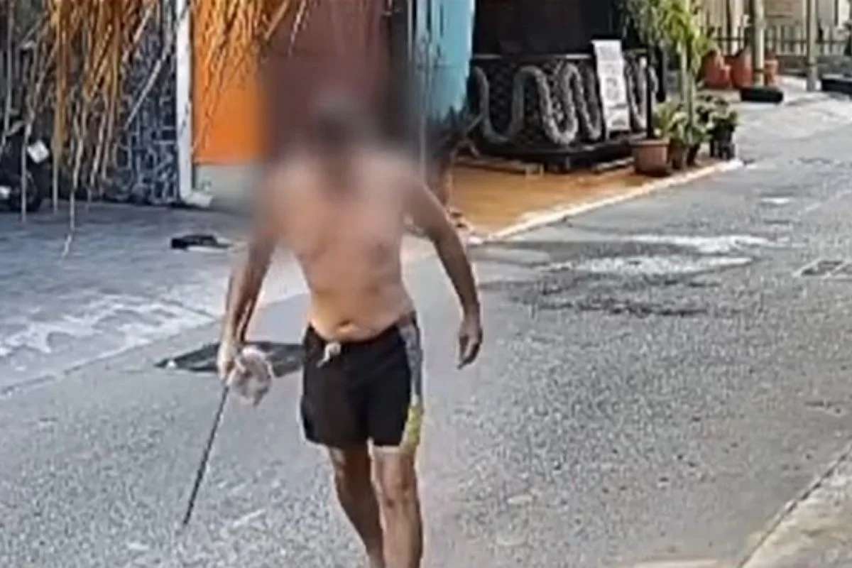 Gift-Schock in Sattahip: 30 Tiere tot aufgefunden