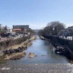 Illegal in Korea - Aufruf an Thai-Overstayer