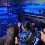 Meer geplündert: Händler festgenommen Meer geplündert: Händler festgenommen