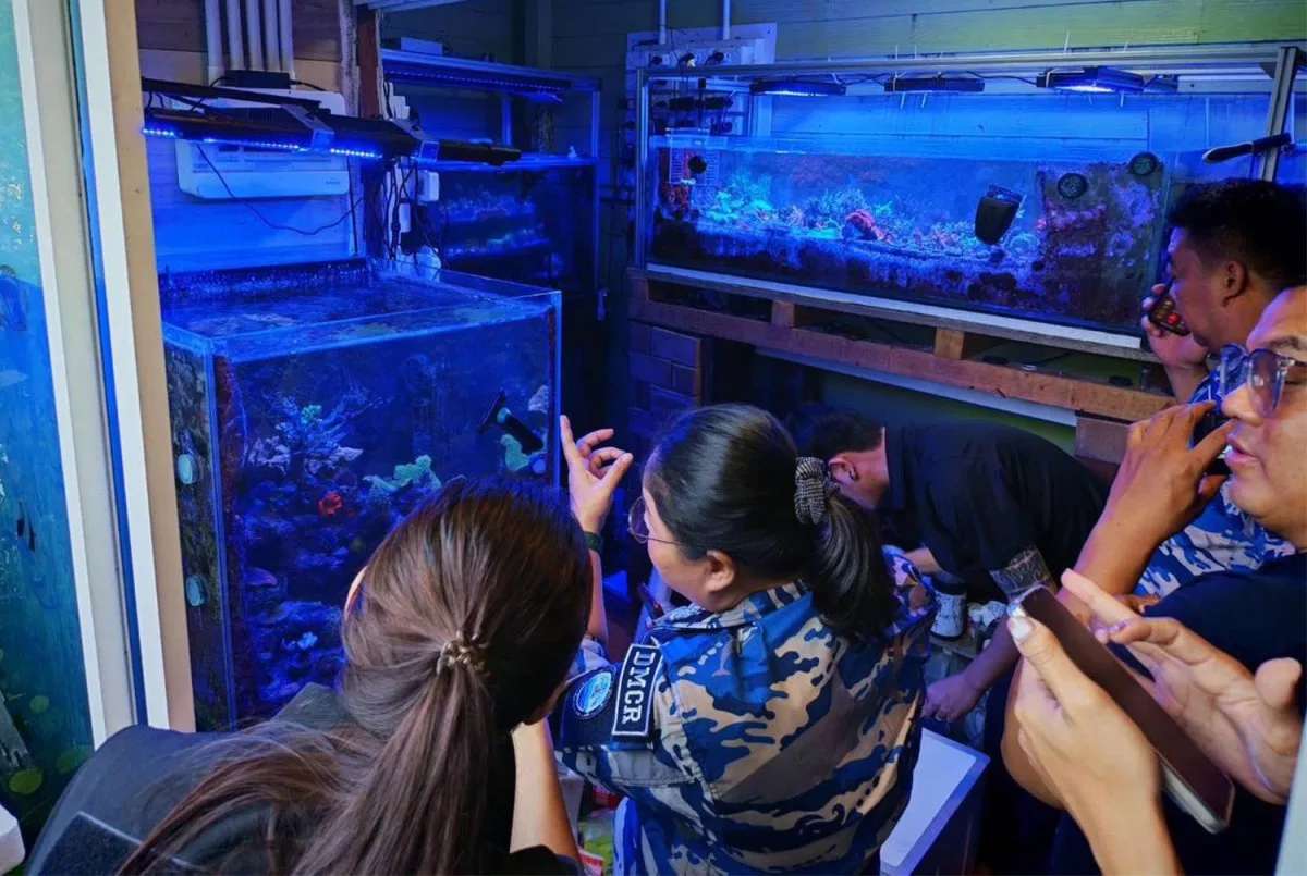 Meer geplündert: Händler festgenommen