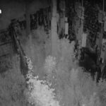 Thai stiehlt Kupferkabel – Schaden: 65 Mio. Baht