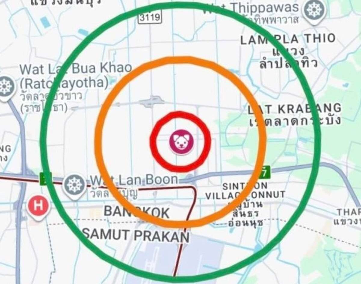 Tollwut-Alarm in Bangkok – Sperrzone eingerichtet