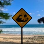 Tsunami 2004 und seine Lehren: Ein Leitfaden für Thailand-Reisende