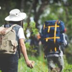 Wander-Boom im Norden Wander-Boom im Norden