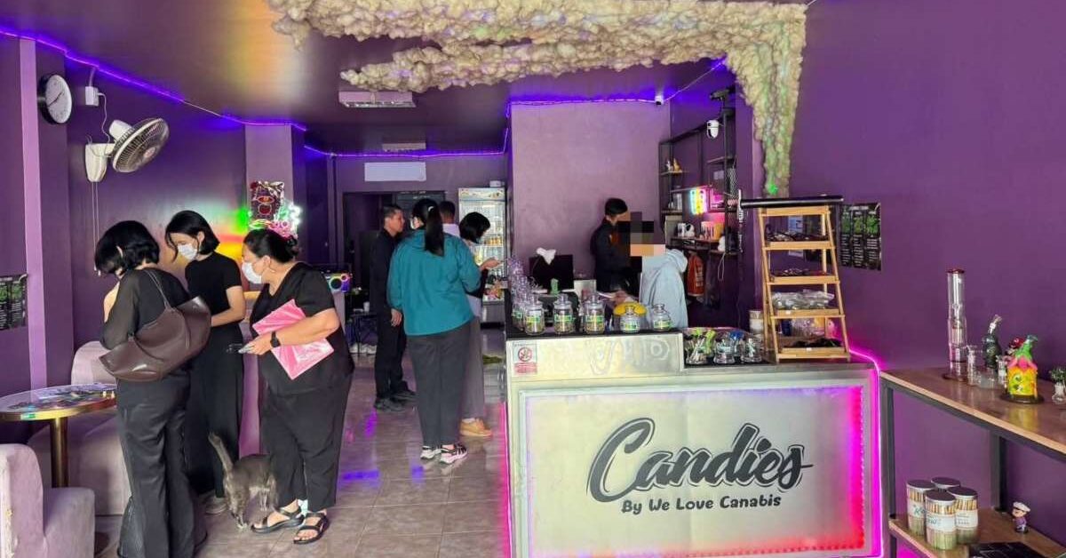 Cannabis-Shop ohne Lizenz ausgehoben