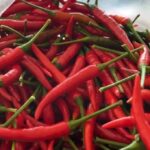 Chili-Schock: Preise explodieren landesweit