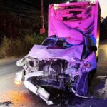 Elefanten-Kollision endet im Drama