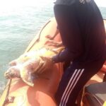 Fischernetz fast tödlich – Rettung in letzter Minute