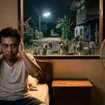 Leserbrief: Machtlos gegen nächtliches Gebell