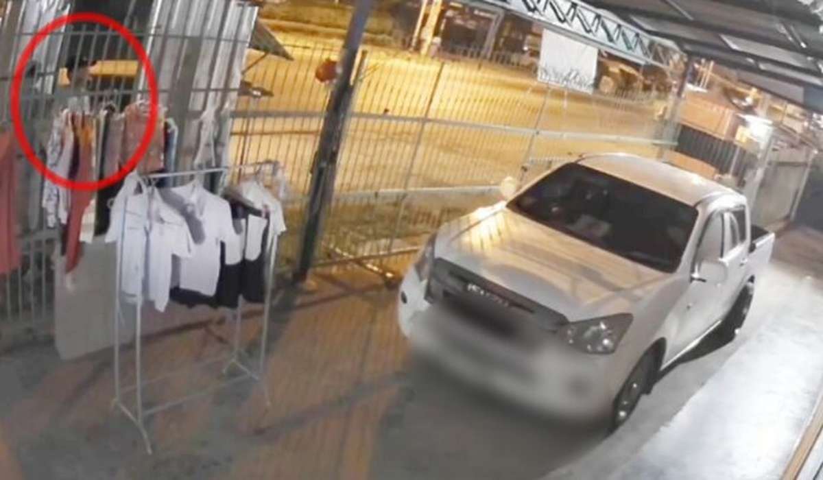 Nachts an der Leine: Unterwäsche spurlos weg