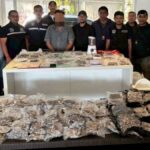 Pilz-Razzia in Phuket: Russen festgenommen