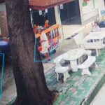 Python greift Mönch im Tempel an (Video)