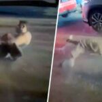 Schock-Video: Ausländischer Mann rollt über Straße Schock-Video: Ausländischer Mann rollt über Straße