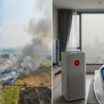 Smog in Thailand: Bleiben oder flüchten