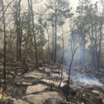 Smog: Thailand erklärt offenen Feuern den Kampf Smog: Thailand erklärt offenen Feuern den Kampf