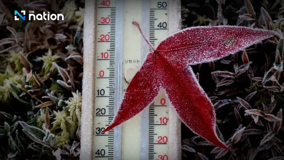 Thailand bibbert: 3 Grad und Frost