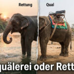 Touristenfalle: Das schmutzige Geschäft