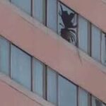 Udon Thani: Mann fällt aus 11. Stock