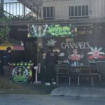 Cannabis-Shop ohne Lizenz hochgenommen