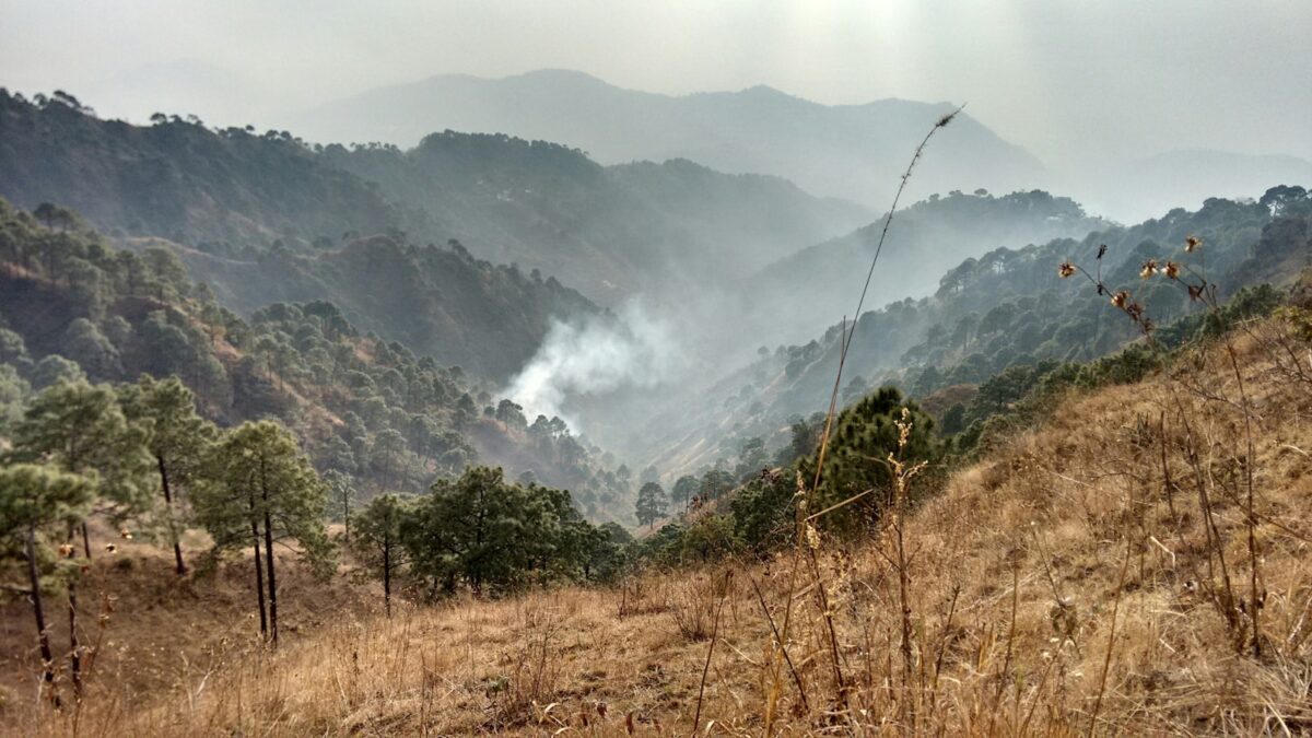 Fast 600 Feuerstellen Thailandweit – Neue Smog-Welle droht