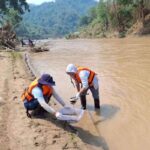 Gift im Wasser? Arsenwerte überschreiten Sicherheitsgrenze
