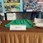 Husky Molly verbrannt – Mann festgenommen