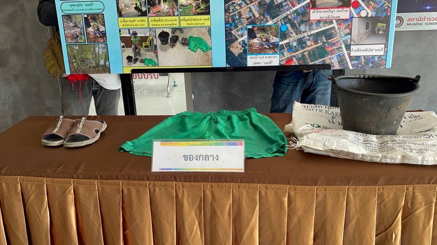 Husky Molly verbrannt – Mann festgenommen