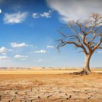 Klima-Warnung: Vor starker El Niño Hitze gewarnt Klima-Warnung: Vor starker El Niño Hitze gewarnt