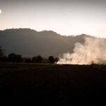 Landwirtschaft: Feuer verschärfen Smoglage