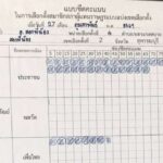 Neuauszählung der Stimmzettel zeigt massive Abweichungen