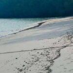 Öl aus havariertem Frachter erreicht Insel bei Phuket Öl aus havariertem Frachter erreicht Insel bei Phuket