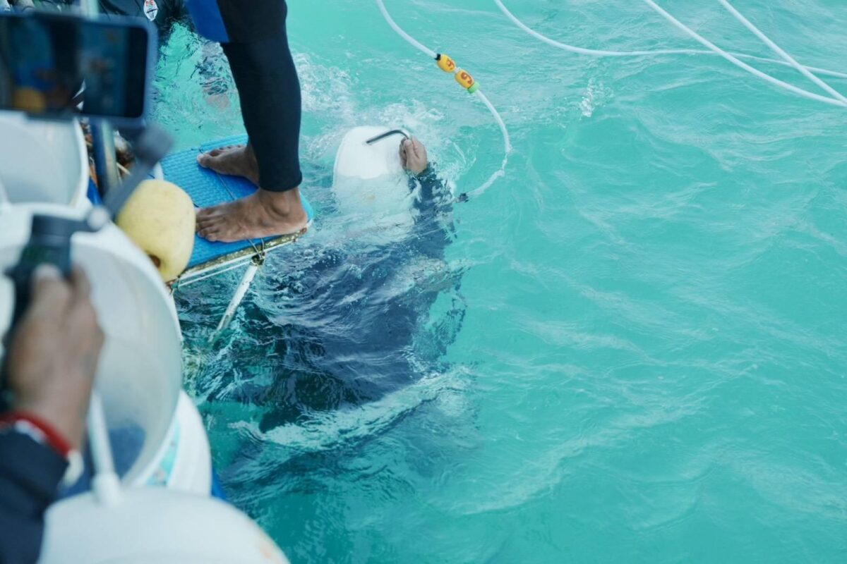 Pattaya führt als erste Stadt Lizenzen für Sea Walker ein