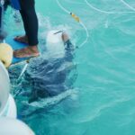 Pattaya führt als erste Stadt Lizenzen für Sea Walker ein