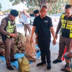 Polizei entdeckt Millionen-Drogenladung