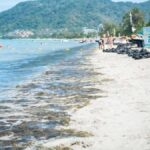 Schleim-Alarm am Partystrand: Was passiert in Patong?