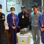 Schockfund im Koffer: Lebende Tiere nach Thailand geschmuggelt Schockfund im Koffer: Lebende Tiere nach Thailand geschmuggelt