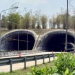 Tierbrücke auf Highway 304 ein Erfolg