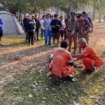 Tragödie im Park: Wilder Elefant tötet Touristen