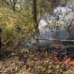 Trockenheit erhöht Risiko: Sorge vor neuer Brandwelle