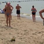 Urlaubsschreck in Pattaya: Riesen-Python sorgt für Chaos Urlaubsschreck in Pattaya: Riesen-Python sorgt für Chaos