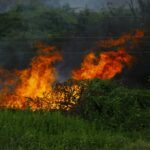 Chiang Mai Waldbrände: Lage bleibt kritisch
