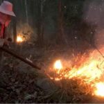 Feuer-Hölle in Chiang Mai: 651 neue Brandherde