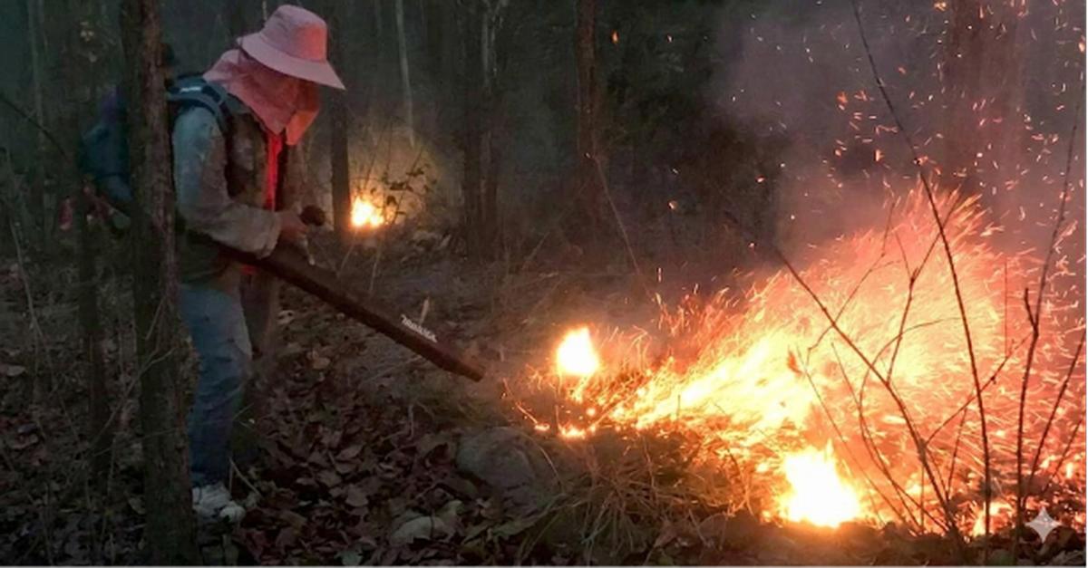 Feuer-Hölle in Chiang Mai: 651 neue Brandherde