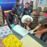 Heroin in Sitzkissen - Polizei stoppt Schmuggel nach Sydney Heroin in Sitzkissen - Polizei stoppt Schmuggel nach Sydney