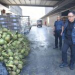 Kokos-Krise - Thailand prüft 15 China-nahe Firmen