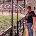 Krabi-Razzia: Illegale Cannabis-Farm eines Israelis aufgeflogen (Video)