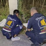 Pattaya: BMW rast in Motorrad - Fahrer tot