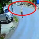 Phuket-Eklat: Russinnen sollen Katze geklaut haben (Video)