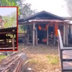 Polizei stoppt randalierenden Sohn Polizei stoppt randalierenden Sohn